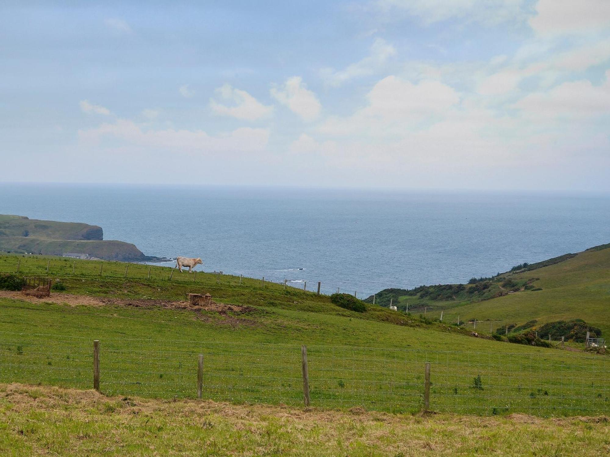 Mains Of Auchmedden Cottage Pennan Zewnętrze zdjęcie